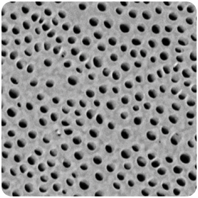 Pre-treatment dentinal tubules